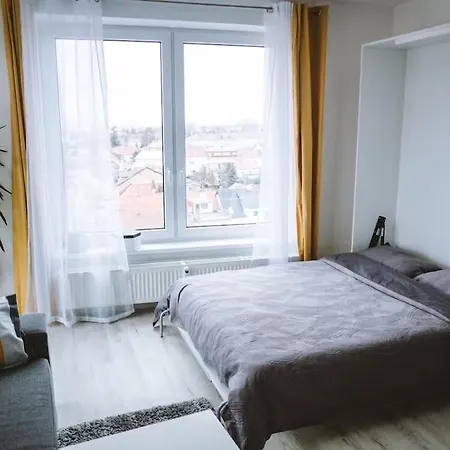 City Studio Apartment *