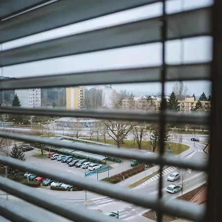 City Studio Apartment Апартаменты Пьештяни